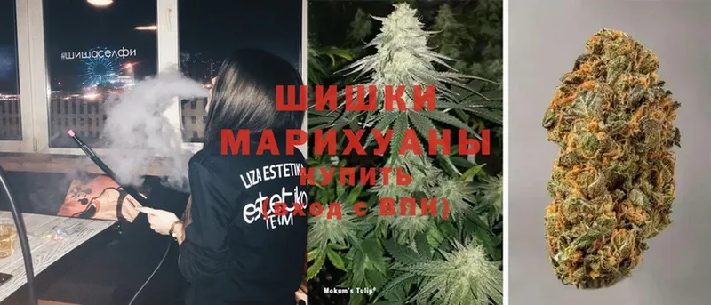 ссылка на мегу как войти  Белоярский  Бошки марихуана White Widow 